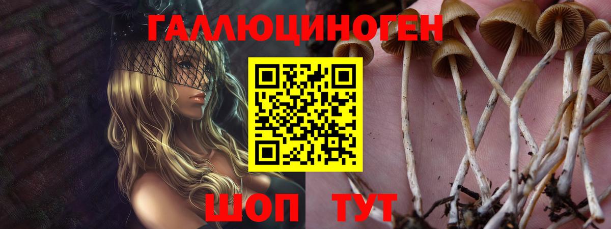 Псилоцибиновые грибы Cubensis  Вход с VPN  Псилоцибиновые грибы мицелий  Уварово 